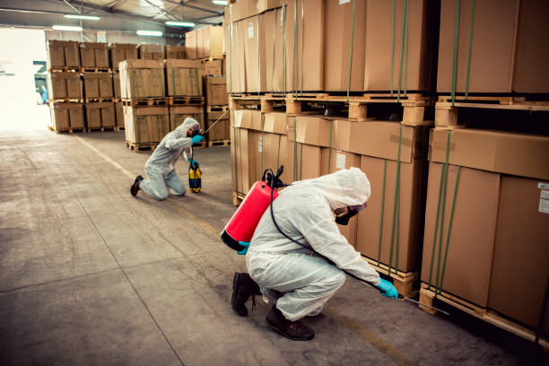 Best Best Pest Control Companies  in Ypsilanti, MI