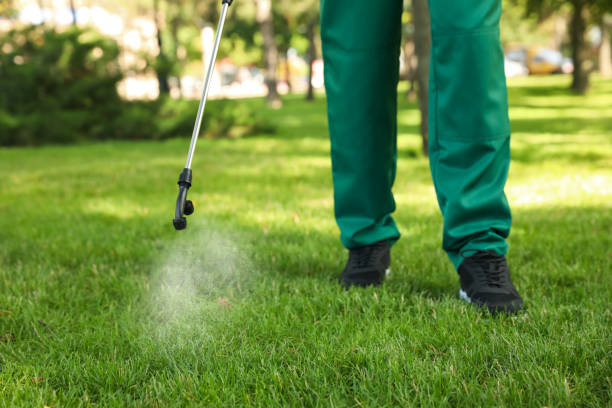Reliable Ypsilanti, MI Pest Control Solutions