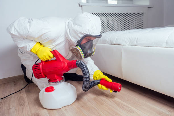 Best Affordable Pest Control Services  in Ypsilanti, MI