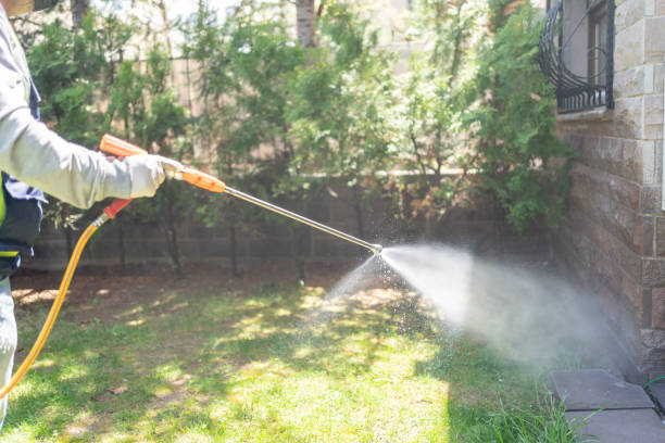 Best Flea Control Services  in Ypsilanti, MI