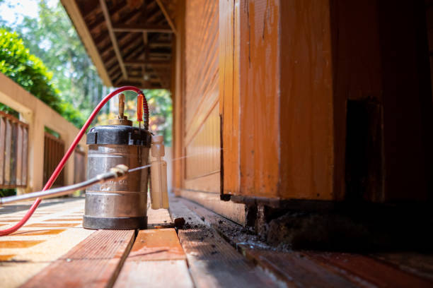 Pest Prevention Services in Ypsilanti, MI