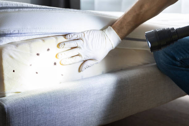 Best Wildlife Control Services  in Ypsilanti, MI