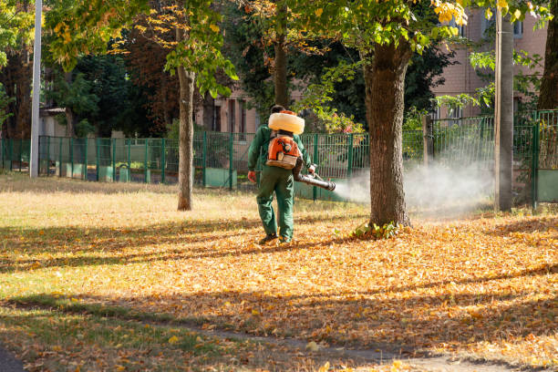 Best Cockroach Control Services  in Ypsilanti, MI