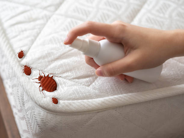 Best Insect Control  in Ypsilanti, MI