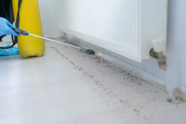 Best Cockroach Control Services  in Ypsilanti, MI